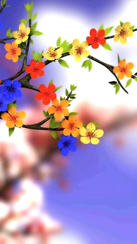 صور الشاشة19