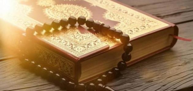صور القرآن19
