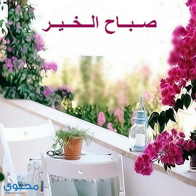 صباح الخير للاصدقاء بالصور4