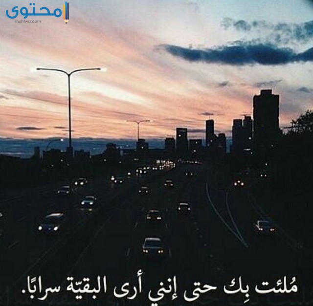 اجمل الصور المعبرة عن الحب والرومانسية4
