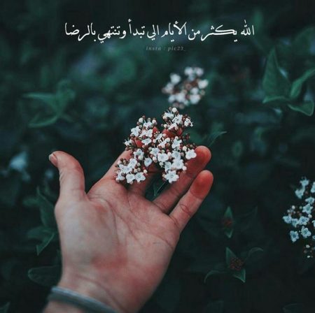 صور الوتساب2