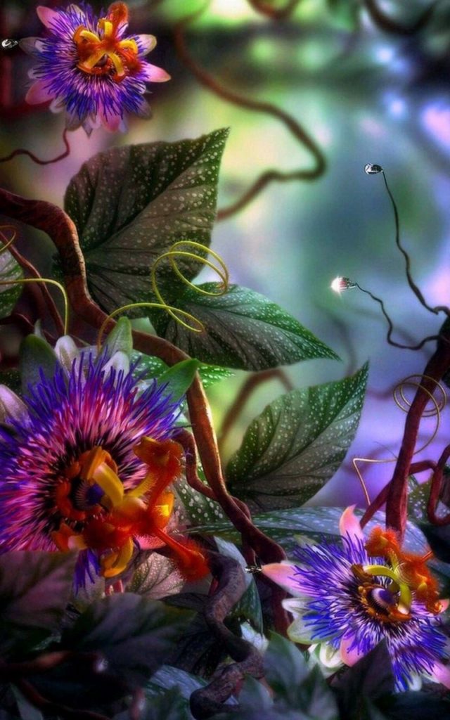 صور الشاشة2