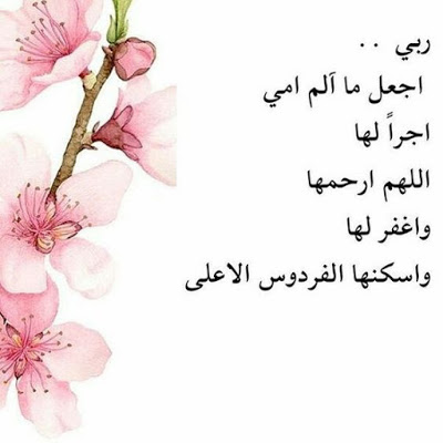 أجمل الصور المعبرة عن عيد الام 2