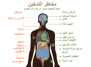 أضرار التدخين على الجسم 2
