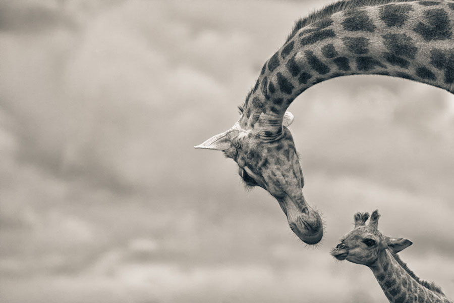 صور عميقة2