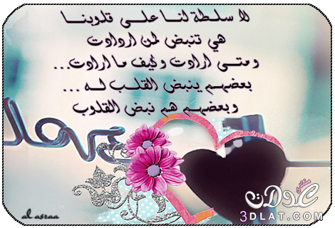 كلام جميل ومعبر ومؤثر على الصور 2
