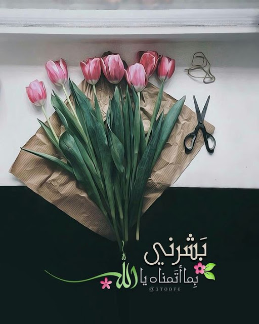 صور ادعيه2