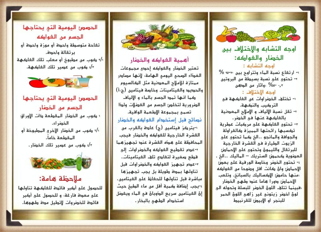 مطويات عن برنامج صحتي في غذائي 2