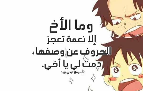احلى كلام عن الأخ 7