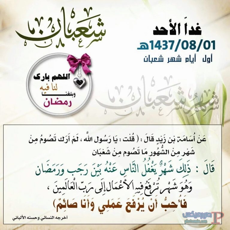 صور شعبان 2