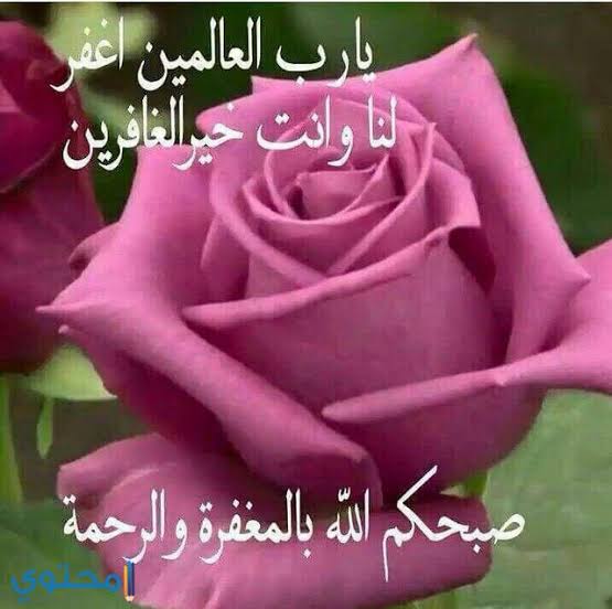صورجميلة جديدة 3