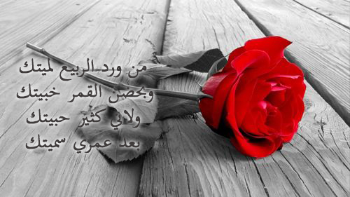 صور عيد الحب190