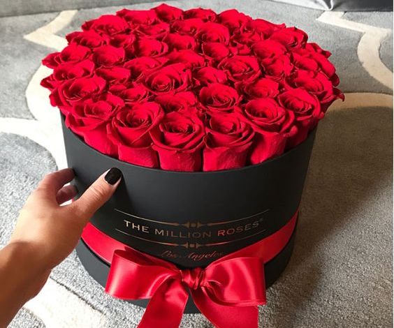 ورود رومانسية للاهداء1