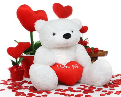 صور عيد الحب22