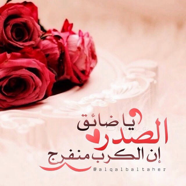 صور الوتساب22