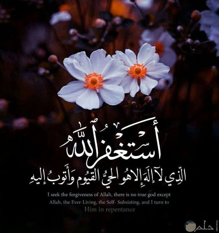 اجمل الصور الدينية في العالم