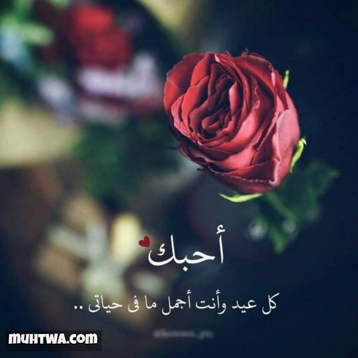 معايدات عيد الحب بالصور2