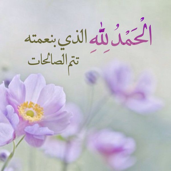 صور الحمد لله23