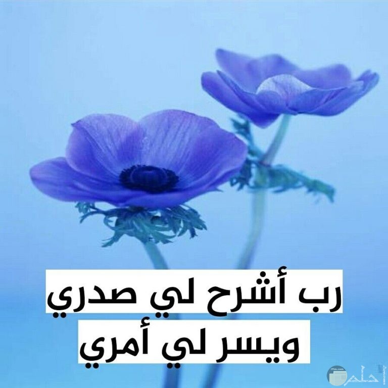 اجمل الصور الاسلامية النادرة1