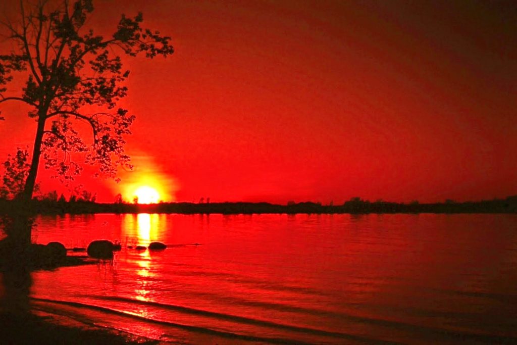 تصوير احترافي بالهاتف3