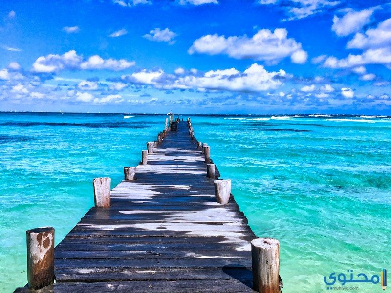 صور عن البحر3