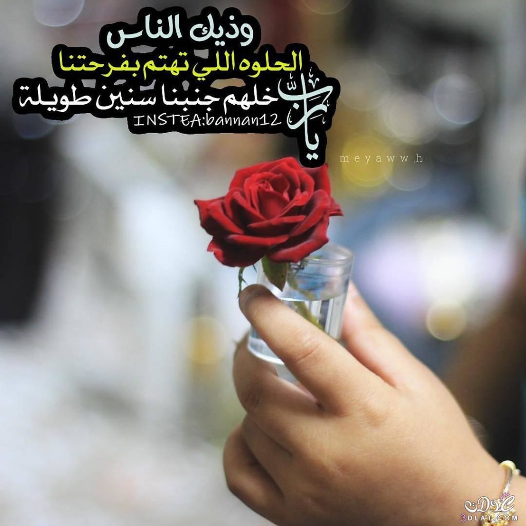 اجمل الصور والعبارات عن الصداقة4