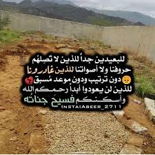 صور حداد25