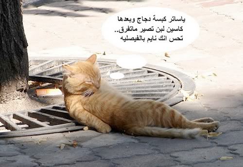 صور ضحك25