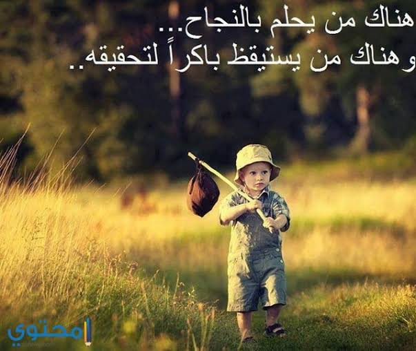 تنزيل صورجميلة منوعة
