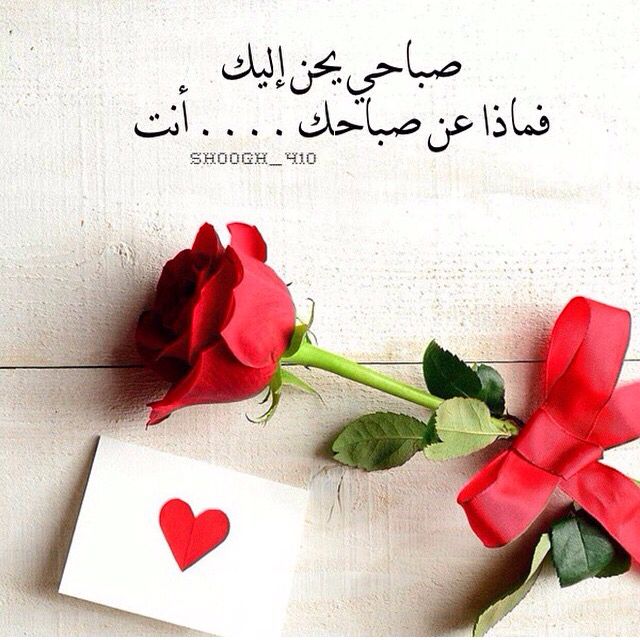 صباح الورد 26