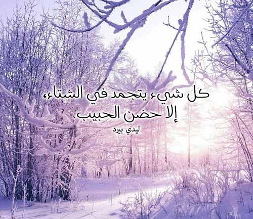 حالات عن الشتاء 2