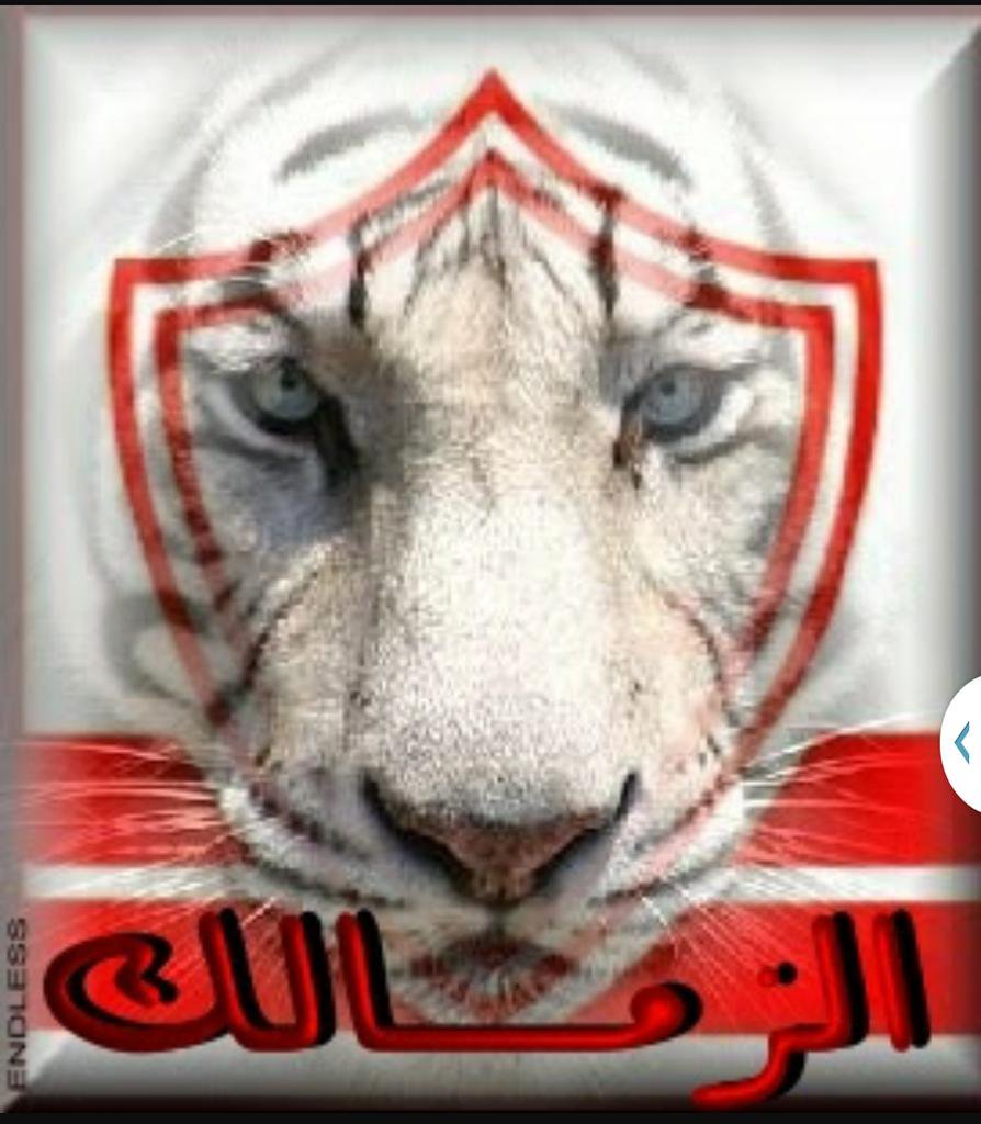خلفيات الزمالك للاندرويد2