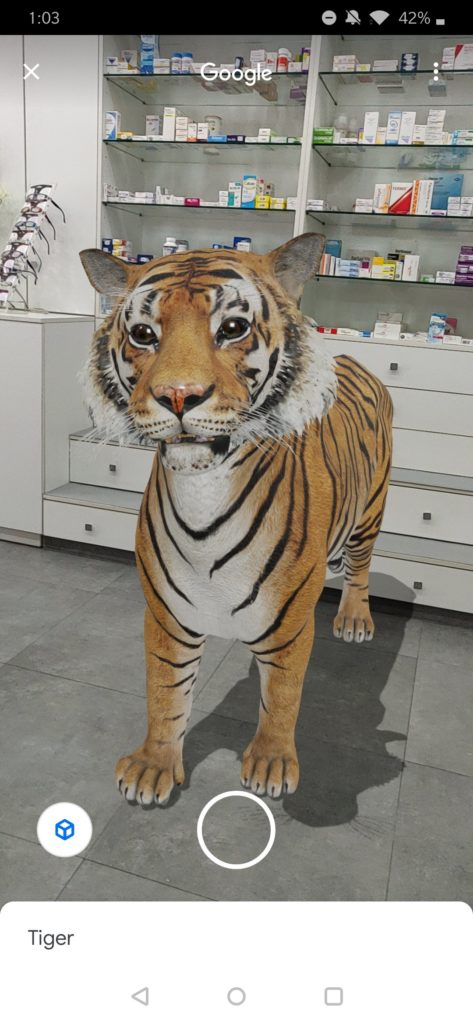 صور حيوانات 3d 15