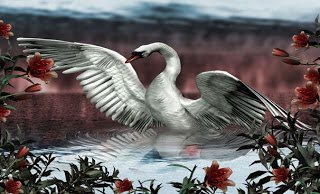 صور حيوانات 3d 21