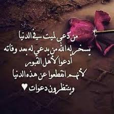 صور حداد28