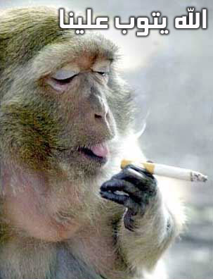 صورمضحكة28