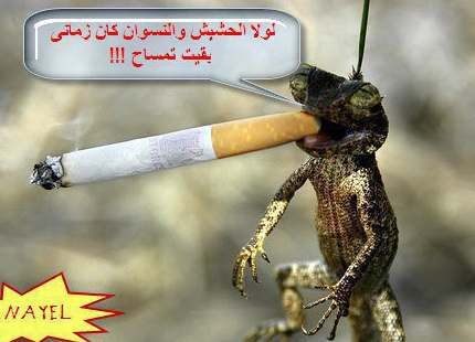 صور ضحك28