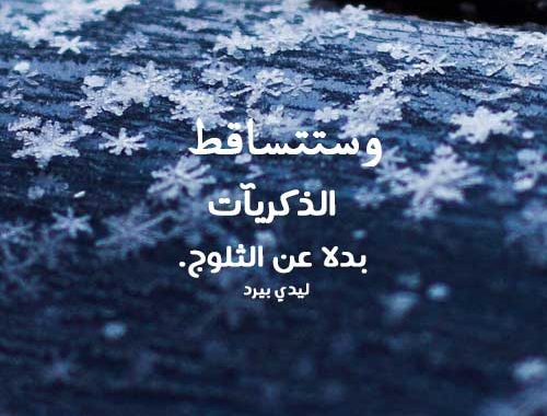 حالات عن الشتاء3
