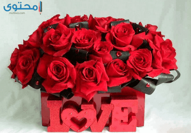 ورود رومانسية جدا3
