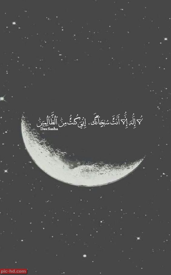حالات ايات قرآنية8