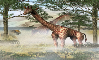 صور حيوانات 3d 22