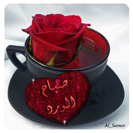 صباح الخير 2019 متحركة4