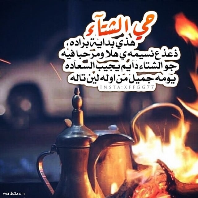 حالات عن الشتاء4