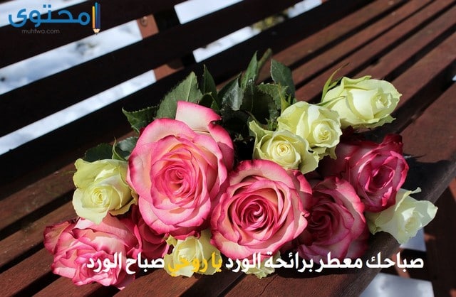 ورود رومانسية جدا4