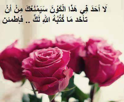 اجمل الصور الورد مع الكلمات 3