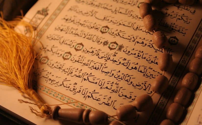 صور القرآن3