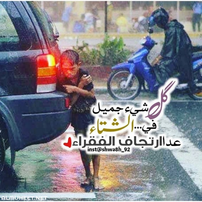 صور عن البرد3