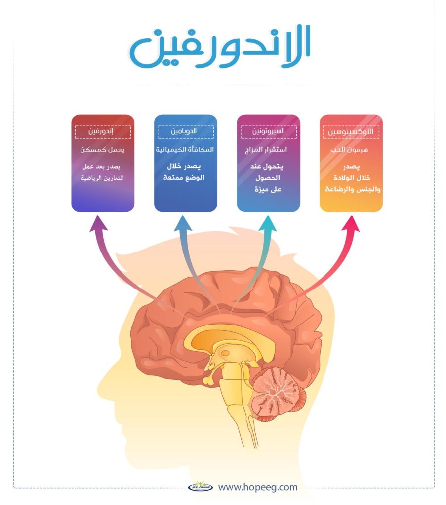تأثير المخدرات على الجسم 3