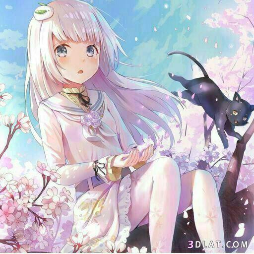 صور انمي جديدة أجمل صور الأنمى 2020 14