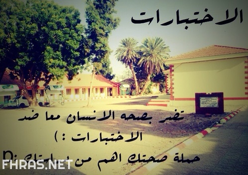 صور عن الاختبارات 3